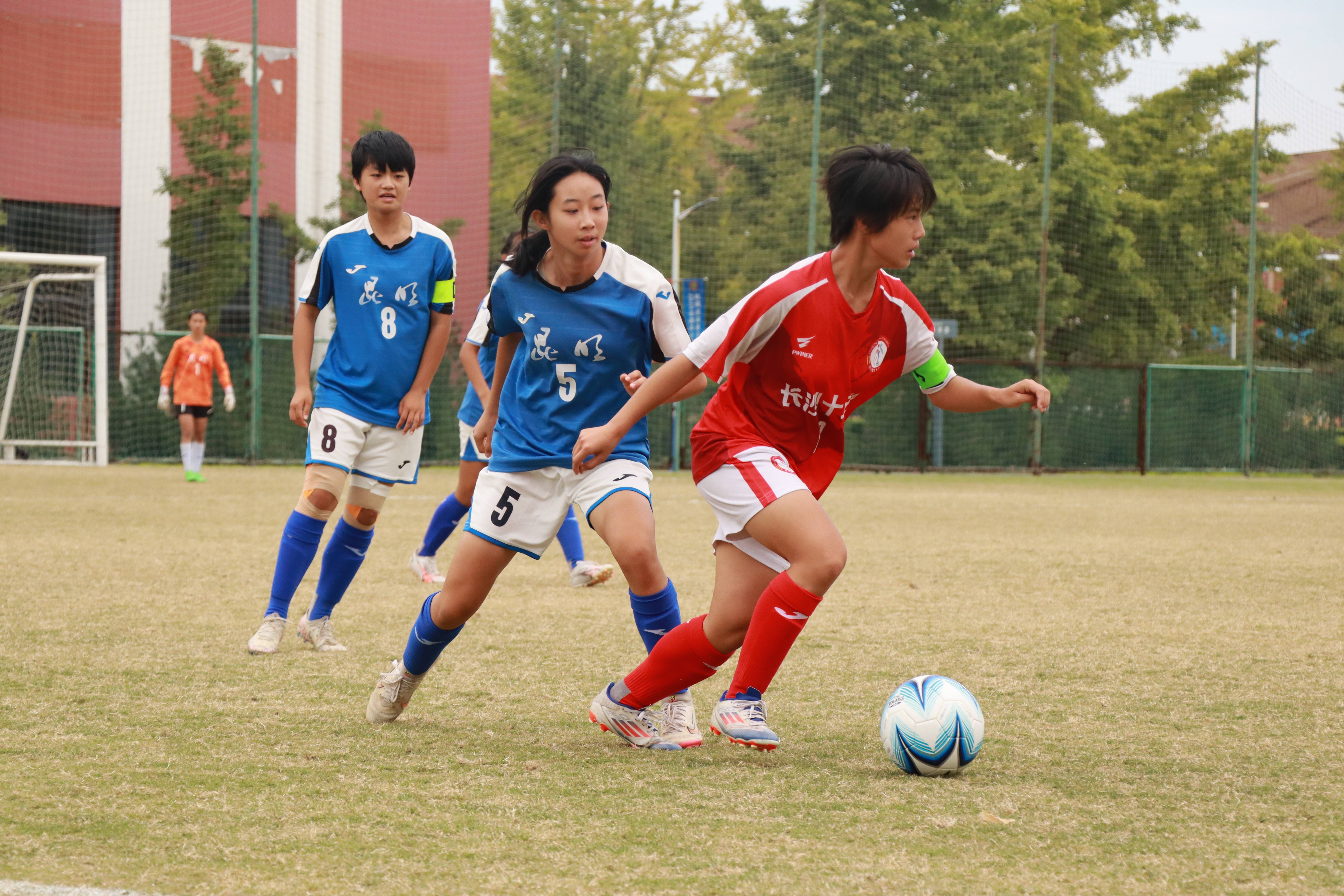 包含女足比赛名宿出任国家青训总监，倡导青少年足球的词条